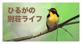 Ђ邪̕ʑCt
